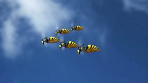 Image for Wasp flight demonstration competition