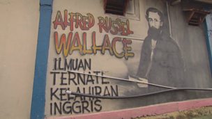 Image for The Wallace graffiti