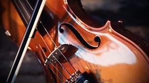 Image for Bach: Brandenburg Concerto No 4