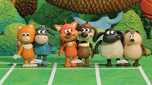 Image for Timmy Wants to Win