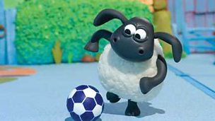 Image for Timmy Says Sorry