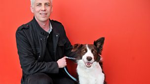 Image for Walking the Dog