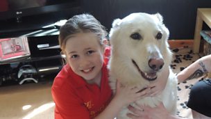 Image for Kayleigh, Noonook agus Bob