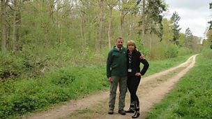 Image for Hear the Lincolnshire dawn chorus