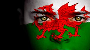 Delwedd ar gyfer Be' sy’n eich gwylltio am fyw yng Nghymru?