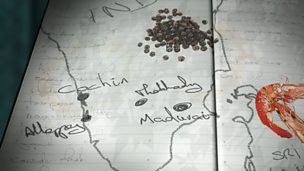 Image for The beginnings of Cochin City