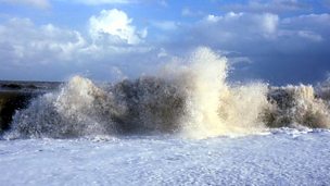 Image for Tsunami of the Mind