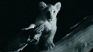 Image for Tips: infrared filming