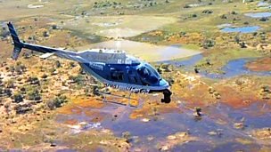 Image for Tips: aerial filming