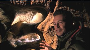 Image for Trail: The Burrowers: Animals Underground