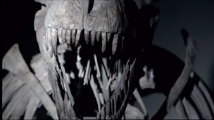Image for Dr Mary Schweitzer's quest to find ancient biological material