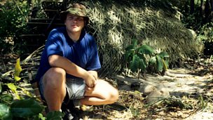 Image for Ray Mears on his close encounter with a 5m crocodile