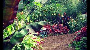 Image for An edible jungle