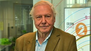Image for Sir David Attenborough chats to Steve
