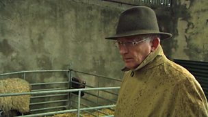 Image for Nick isn't the only TV celebrity at the Holloway farm
