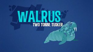 Image for Walrus: Two Tonne Tusker
