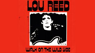 Image for Walk On The Wild Side