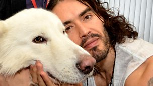 Image for Russell Brand: 'I'm calling for huge civil disobedience'