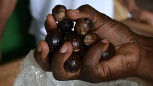Image for Nigel Slater - High on Nutmeg?