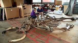 Image for A Mammoth Task