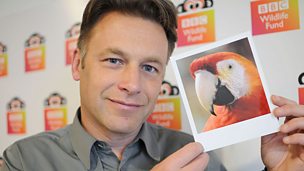 Image for Chris Packham: Celebrity Interview
