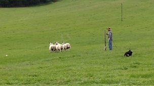Image for Sùil air ais air a’ chiad là den Fharpais Nàiseanta