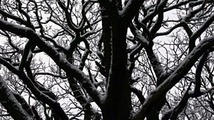 Image for Beethoven: String Quartet in A minor (Op. 132)