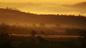 Image for Vaughan Williams: Symphony No. 5