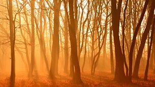 Image for Brahms: Symphony No. 3