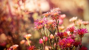 Image for Beethoven: Symphony No. 4