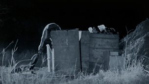 Image for Bin Raiding Badgers