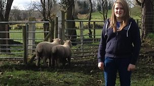 Image for A flock of her own