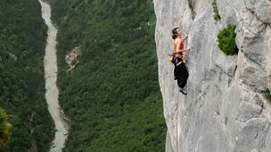 Image for Wallcreeper