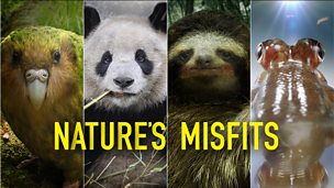 Image for Nature's Misfits Trailer