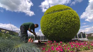 Image for Wimbledon Tennis