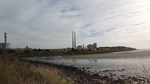 Dublin Bay with Eanna Ni Lamhna