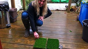 Bethan Elfyn's Gardening Challenge