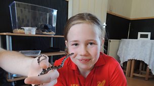 Kayleigh, Noonook agus Bob