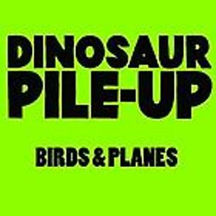 Birds & Planes