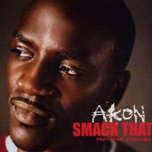 Smack That (feat. Eminem)