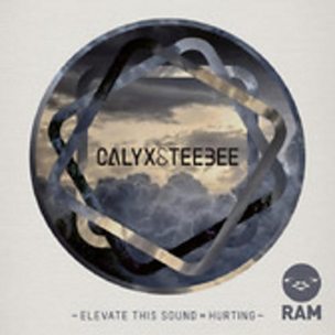Elevate This Sound