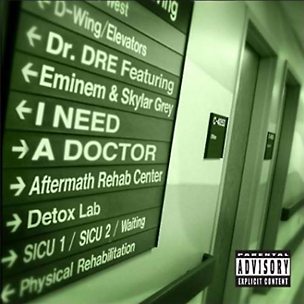 I Need A Doctor (feat. Eminem & Skylar Grey)