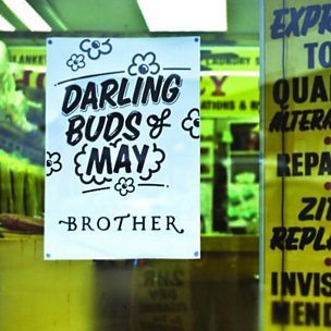 Darling Buds Of May