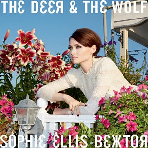 The Deer And The Wolf