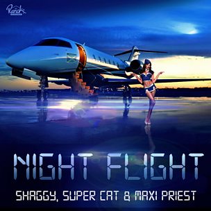 Night Flight