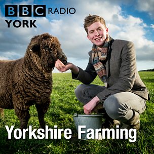 Yorkshire Wolds, GM Crops Debate, Community Vegetables