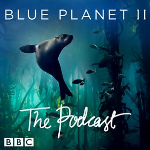 Welcome to Blue Planet II: The Podcast