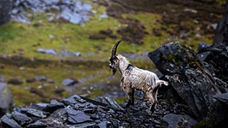 Bbc Radio The Witch Farm The Story Of The Witch Farm