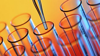 What if Africa was the New Hub of Global Science?