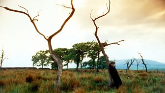 Emily Bronte - Wuthering Heights